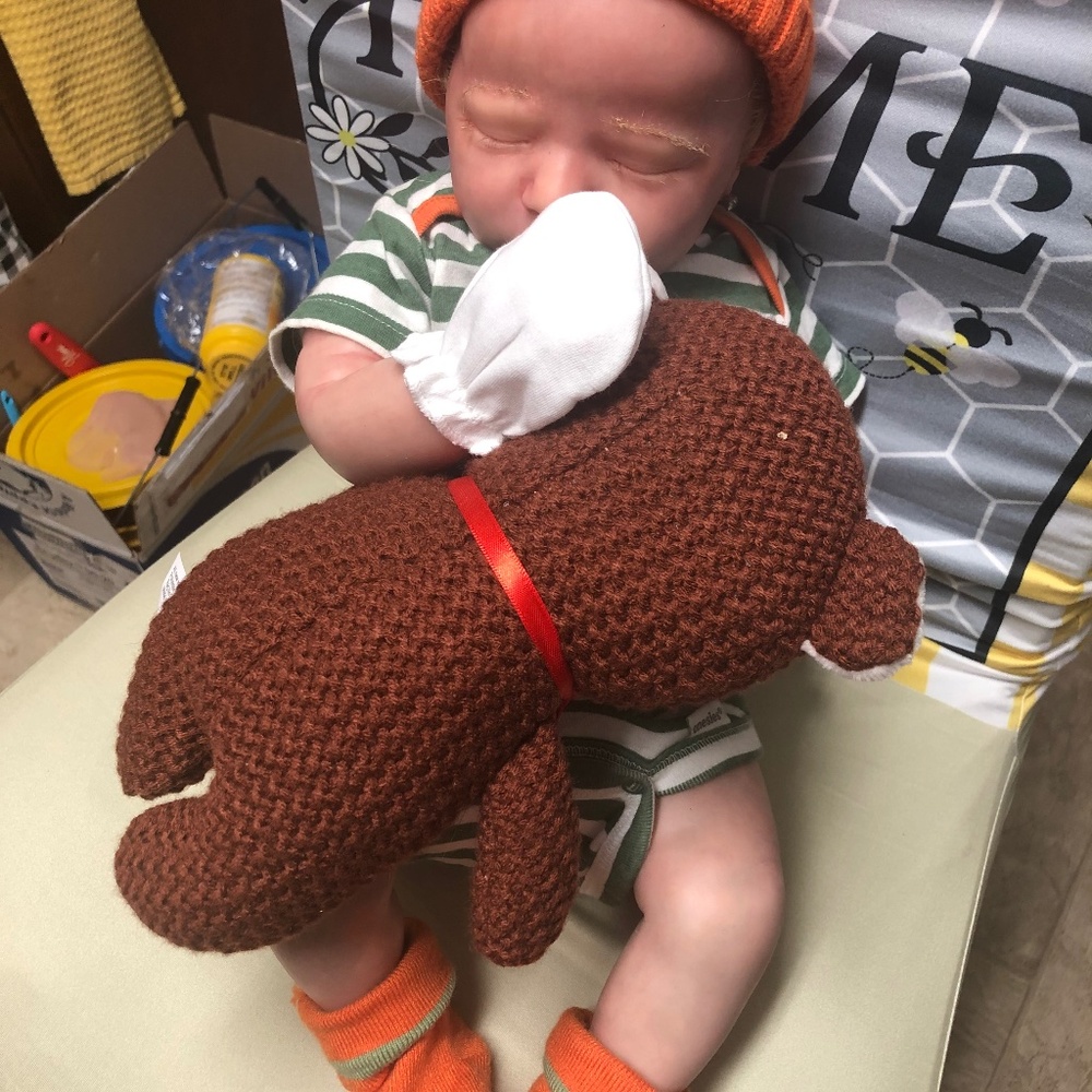 Lil pumpkin, Quinn